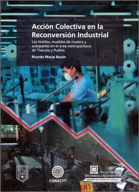 Acción Colectiva en la Reconversión Industrial. Los Textiles, Muebles de Madera y Autopartes en el Área Metropolitana de Tlaxcala y Puebla