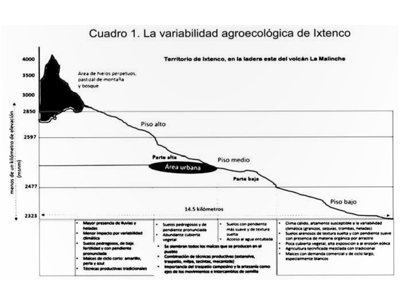 ciisder articulo maices para la vida ixtenco