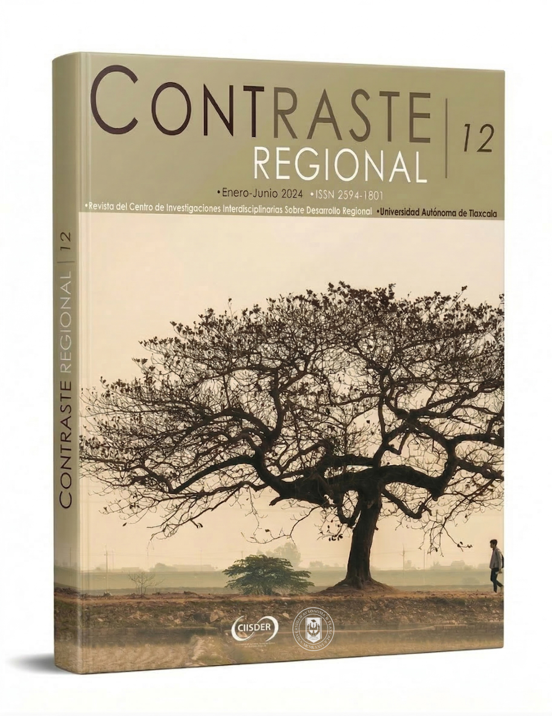 portada contraste regional 19