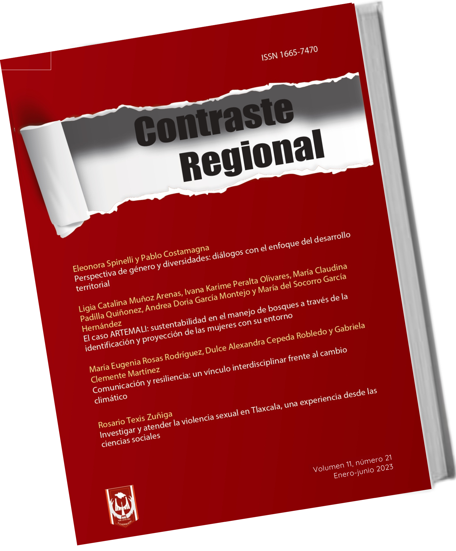 portada contraste regional 19