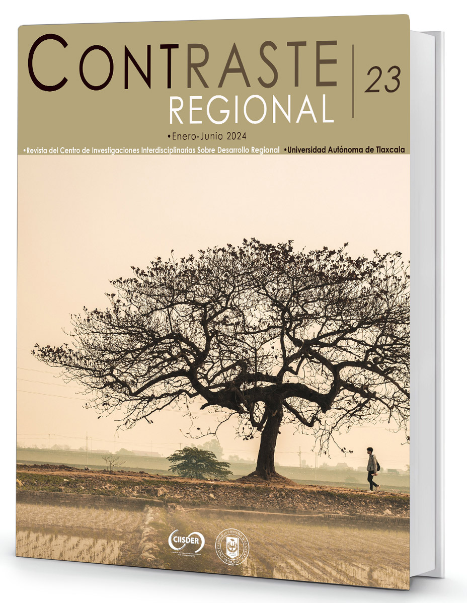 portada contraste regional 19